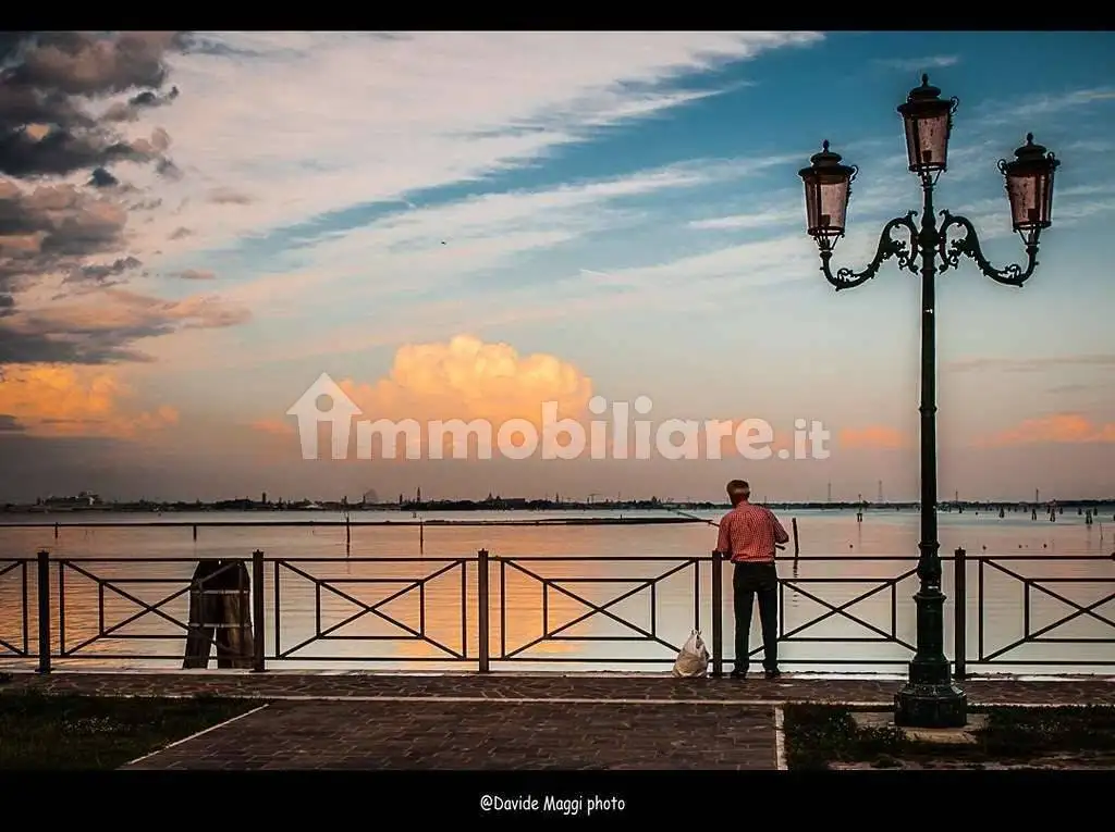 Palazzo - Edificio in vendita a Mira