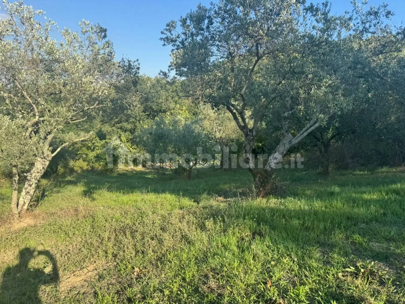 Villa plurifamiliare, buono stato, 852 m², Caiazzo - foto 3