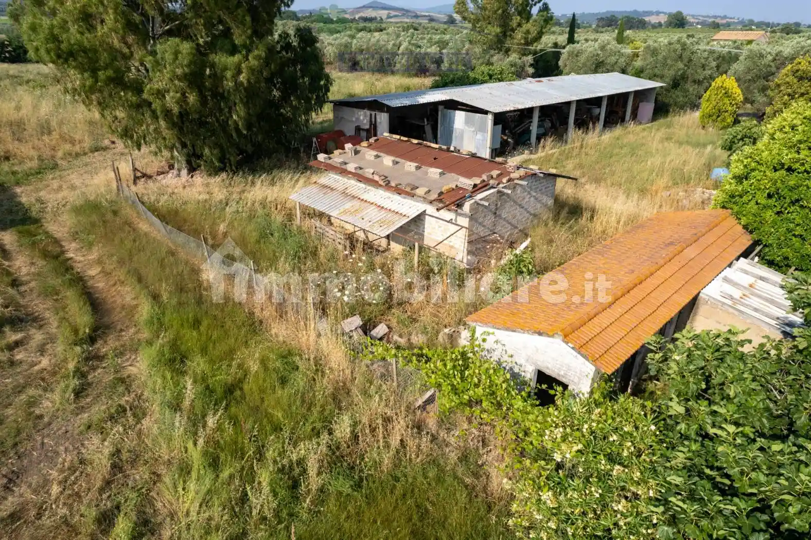 Rustico - Casale in vendita a Capalbio