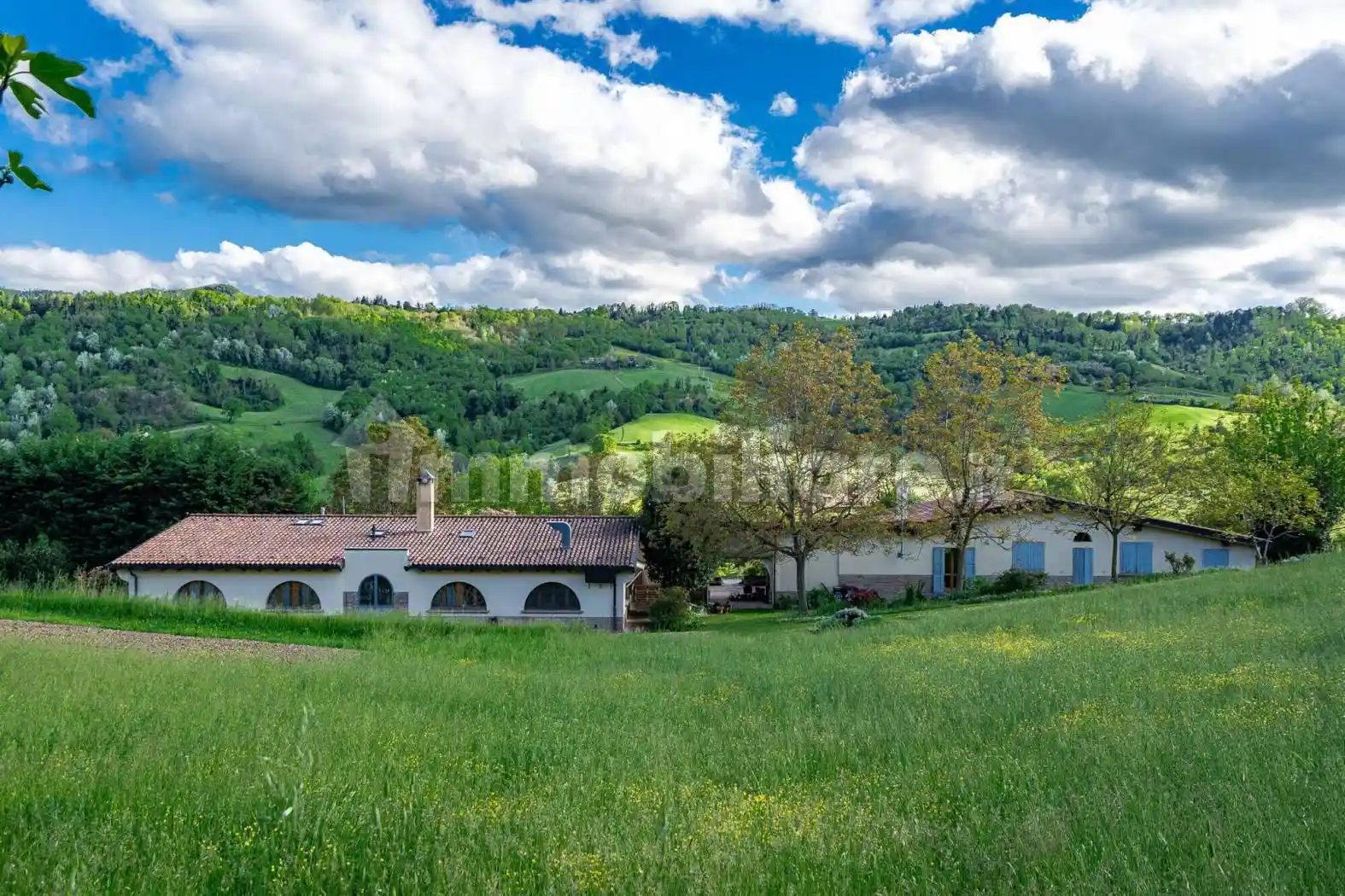 Palazzo - Edificio - foto 2