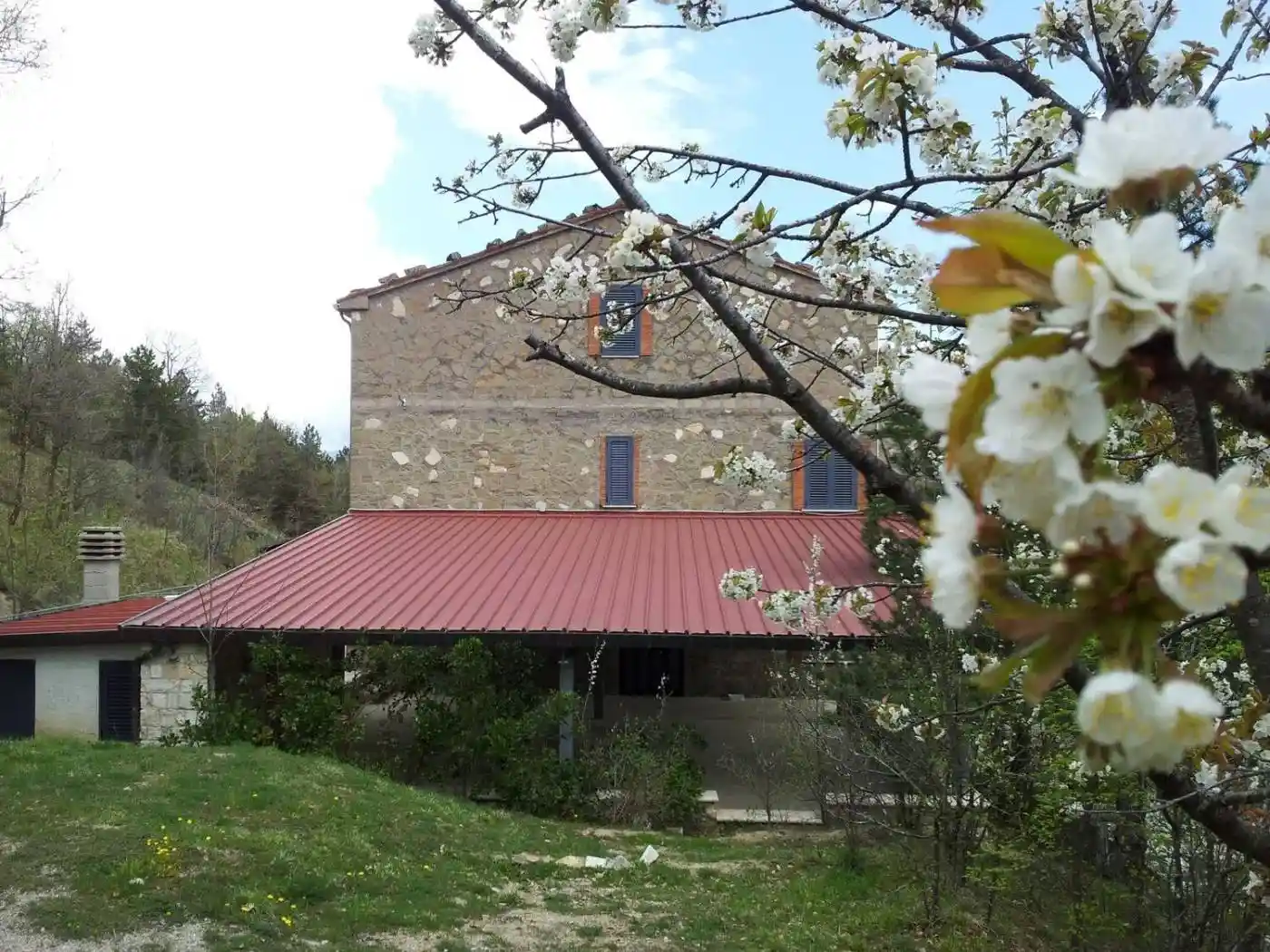 Palazzo - Edificio in Vendita - foto 3