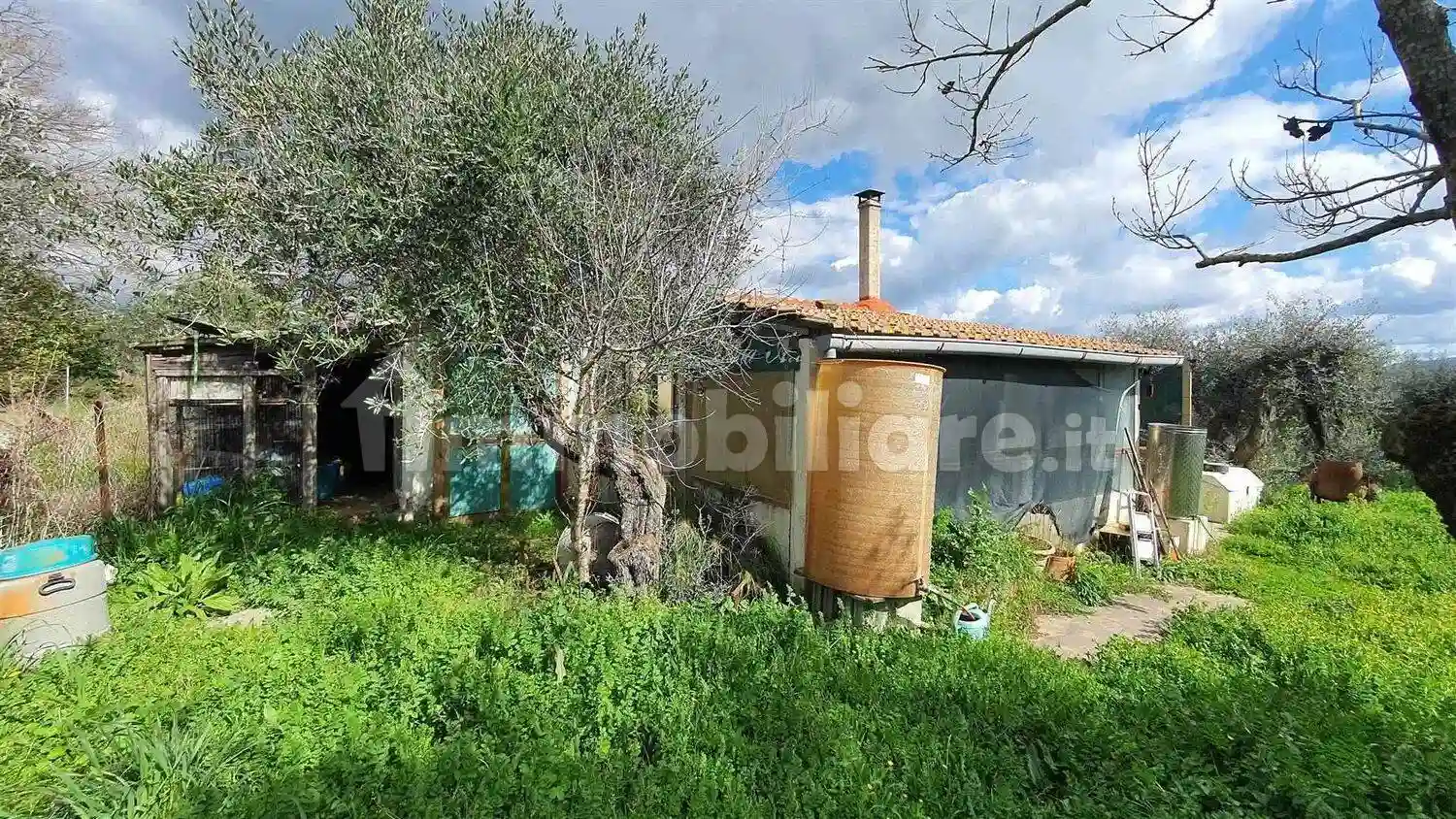 Rustico - Casale - foto 5