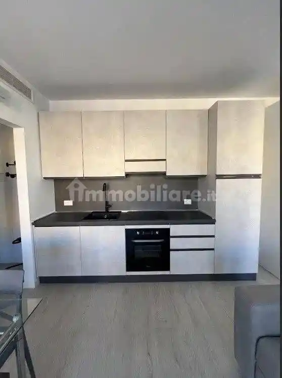 Monolocale via Amilcare Ponchielli 20, Borgo Palazzo, Bergamo - foto 5