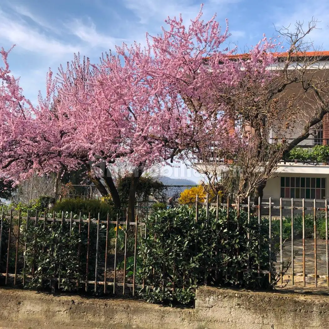 Villa in vendita a Villadeati