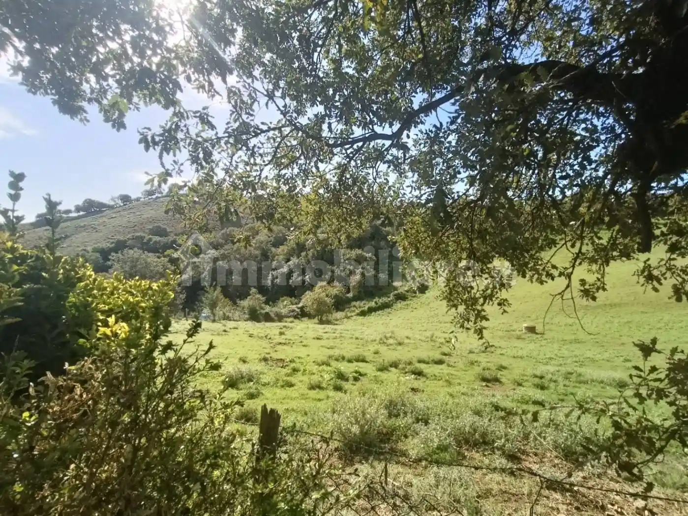 Rustico - Casale in vendita a Scansano