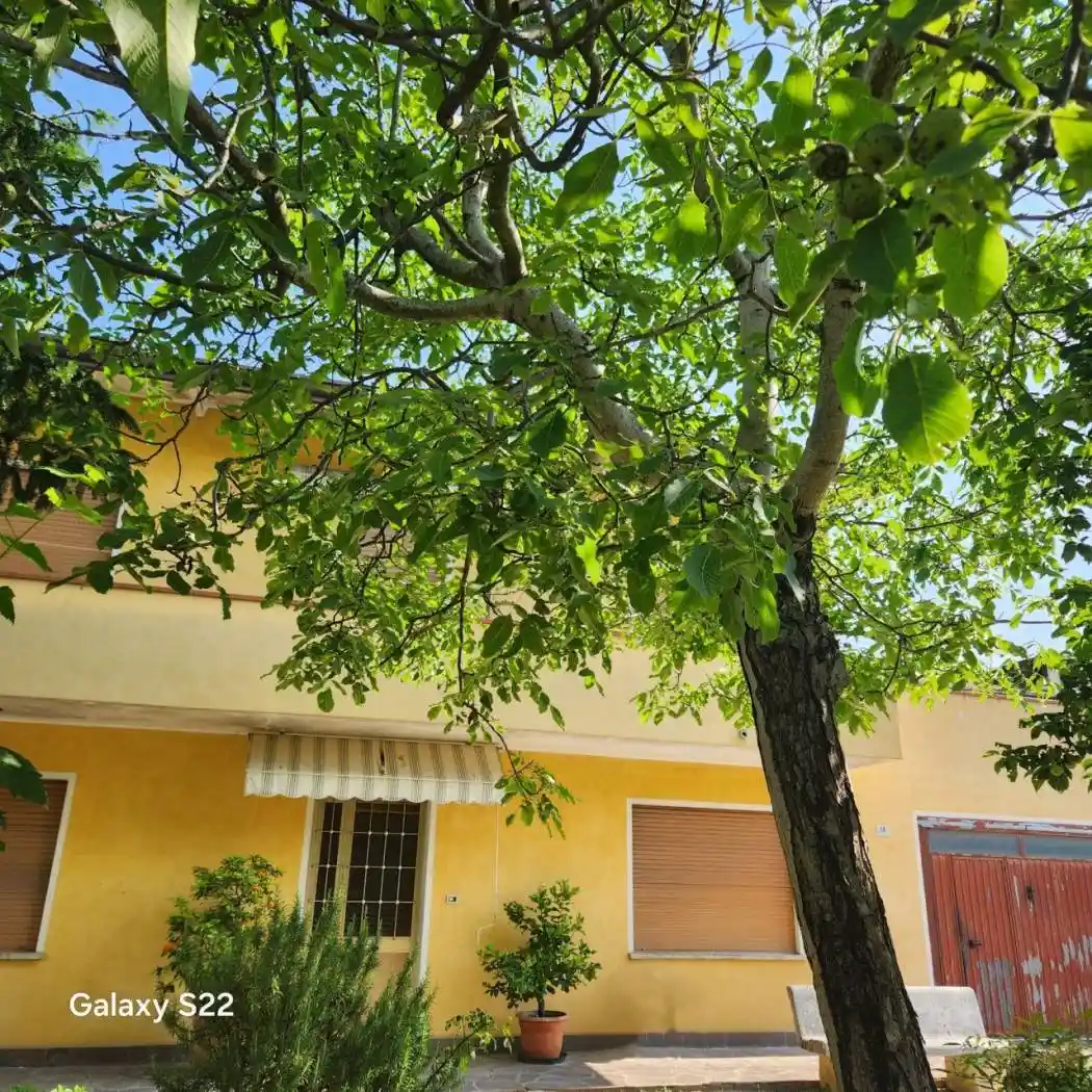 Casa indipendente in vendita a Pianiga