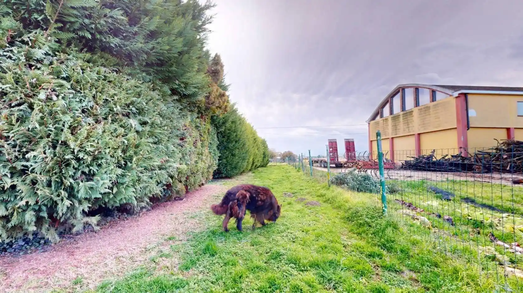 Casa indipendente - foto 2