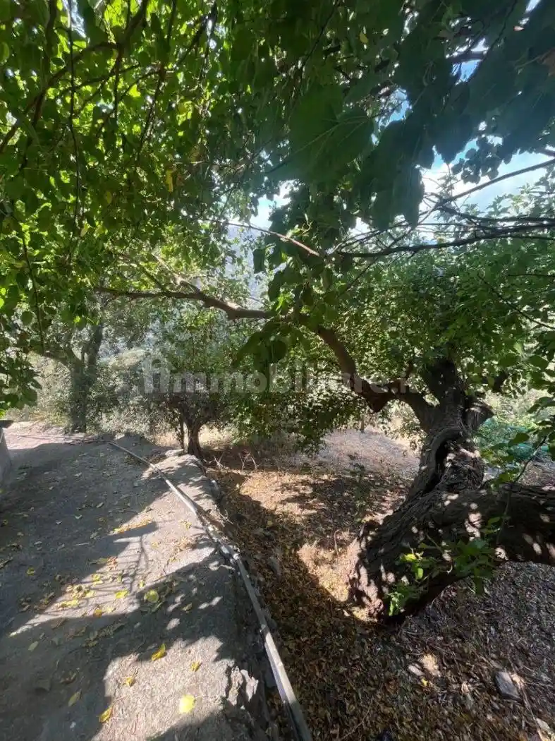 Villa unifamiliare via salita Croce 22, Centro, Casalvecchio Siculo - foto 4