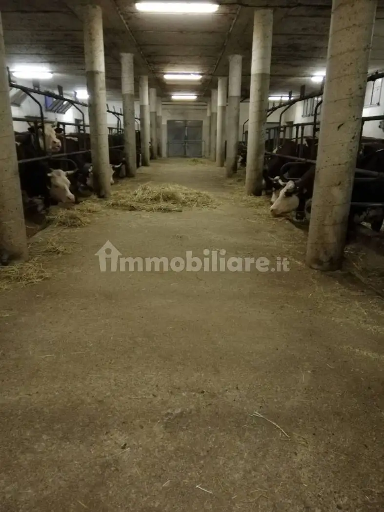 Palazzo - Edificio in Vendita - foto 5