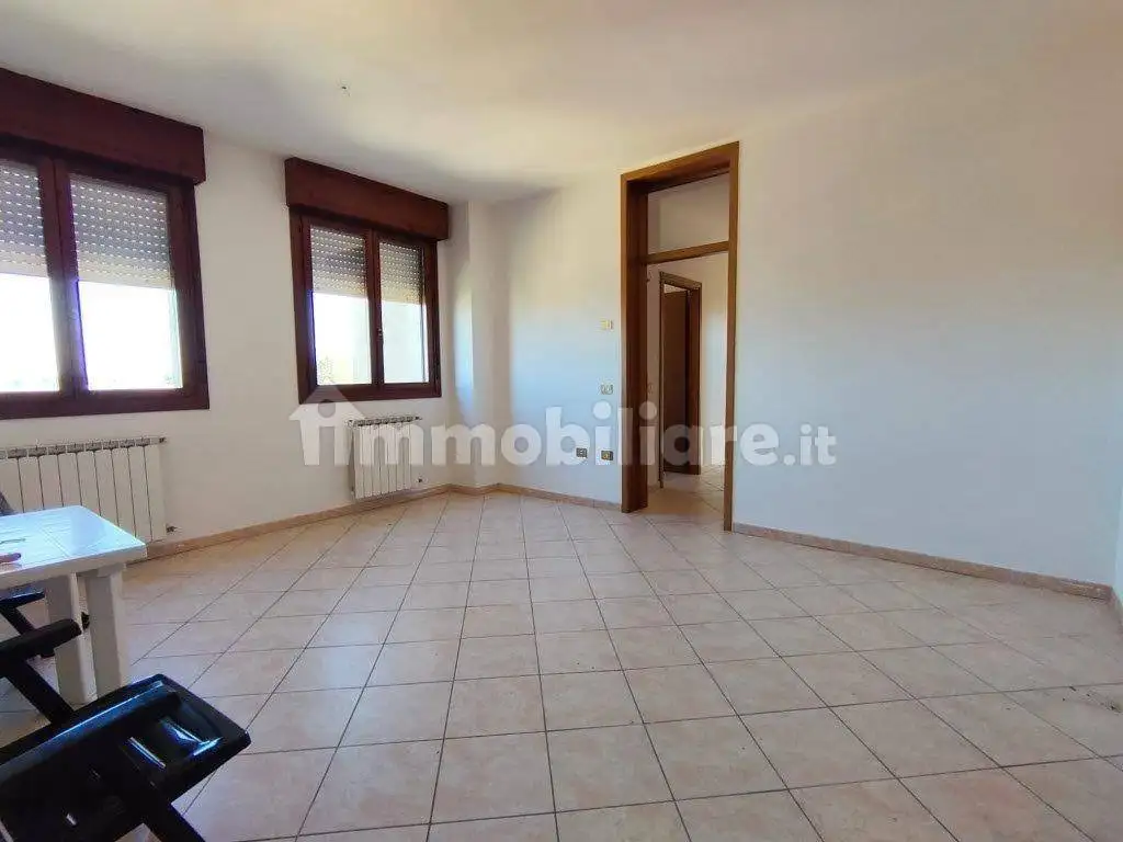 Appartamento in affitto a Canaro