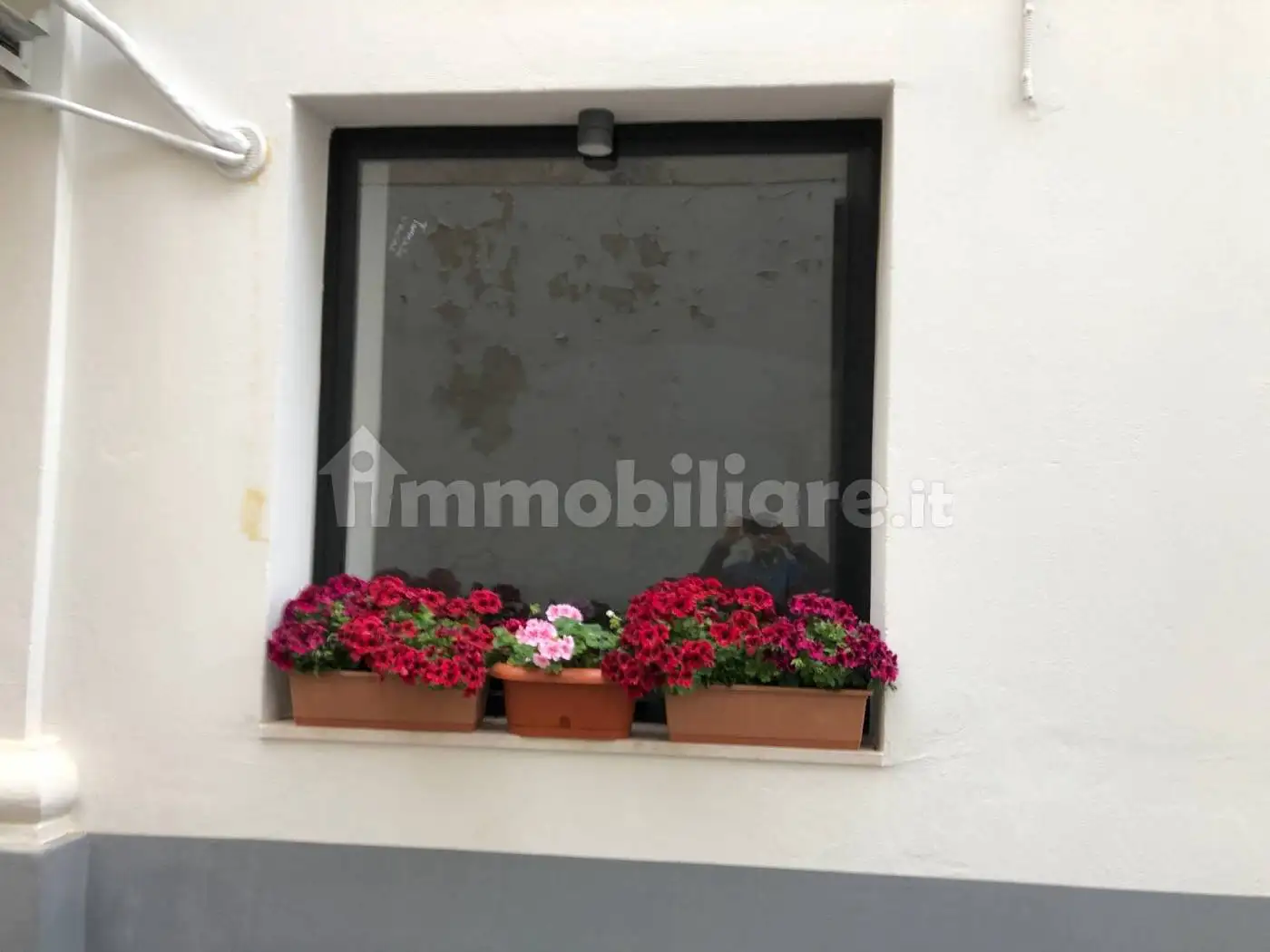 Appartamento in affitto a Termoli