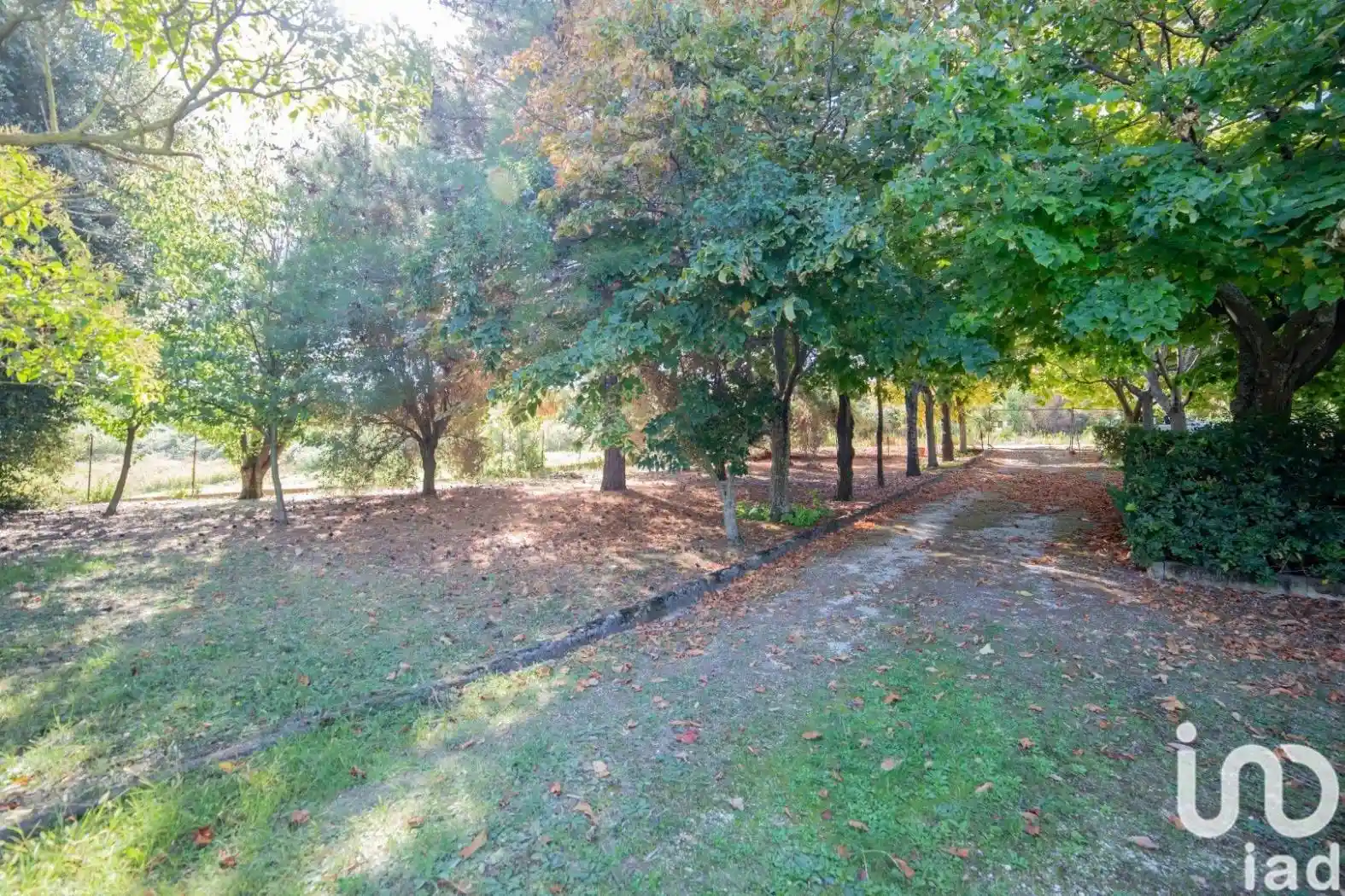 Terratetto unifamiliare Strada della marzocchetta, 0, Marzocca, Senigallia - foto 5