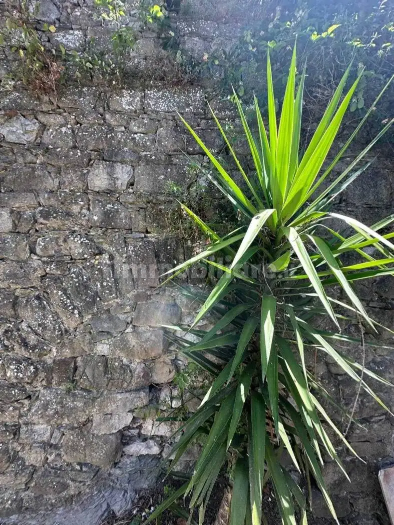 Villa unifamiliare 57 m², Casola in Lunigiana - foto 3