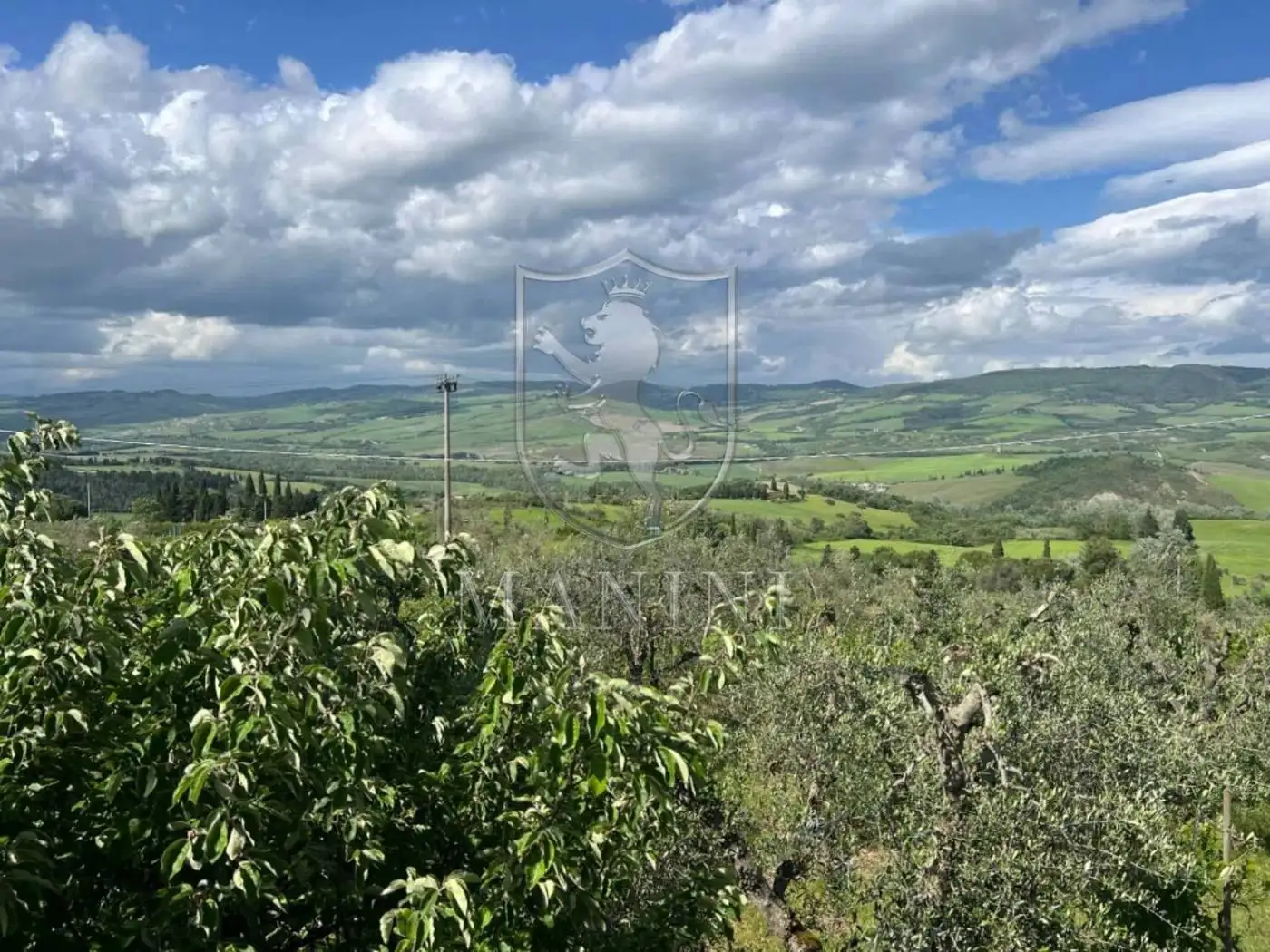 Villa in vendita a Radicofani