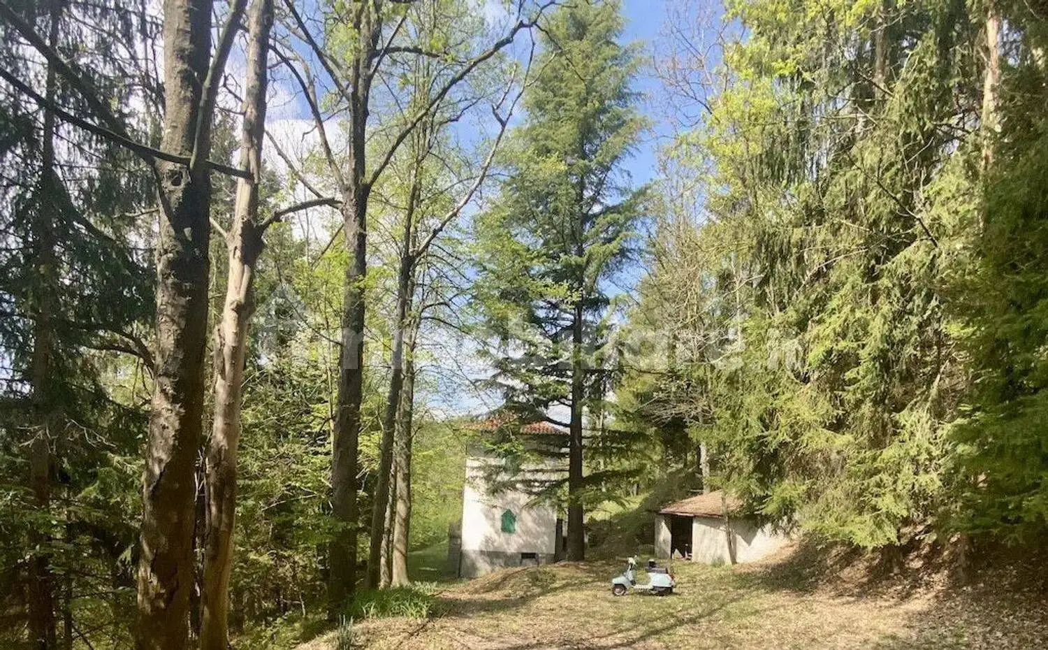 Villa in vendita a Sale delle Langhe