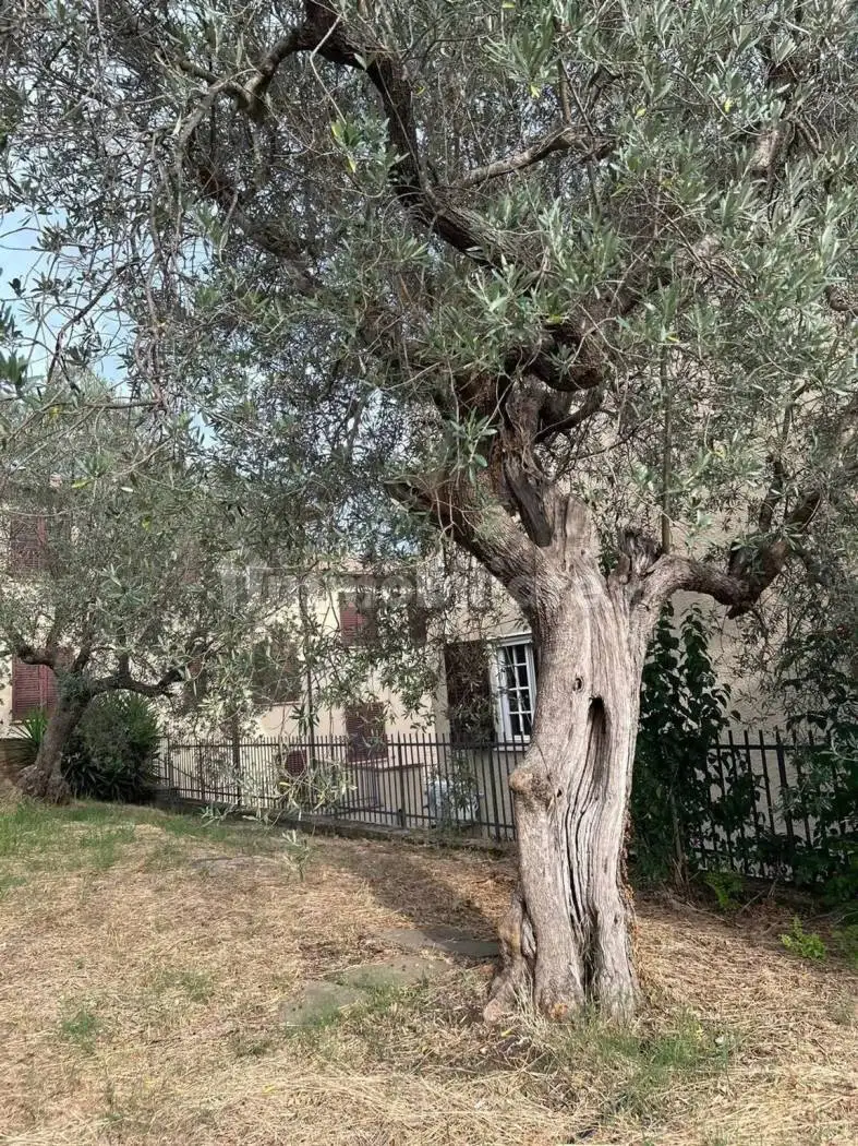 Villa unifamiliare piazza Del Popolo, Casale Marittimo - foto 2