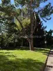 Quadrilocale via Padova 353, Quartiere Adriano, Milano - foto 4