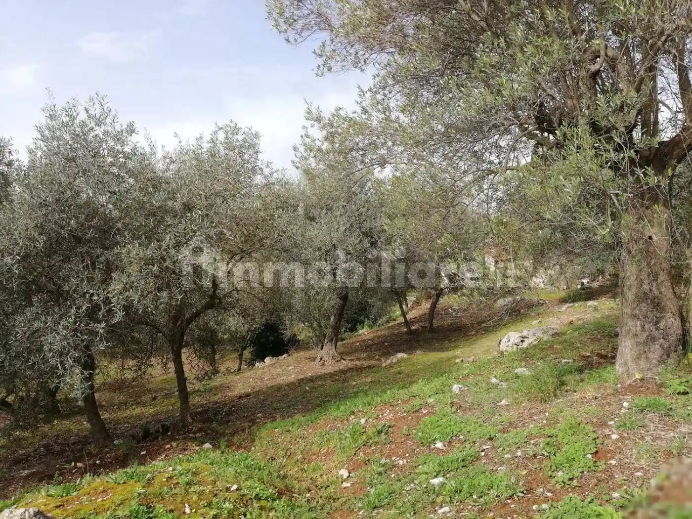 Villa in vendita a Sonnino