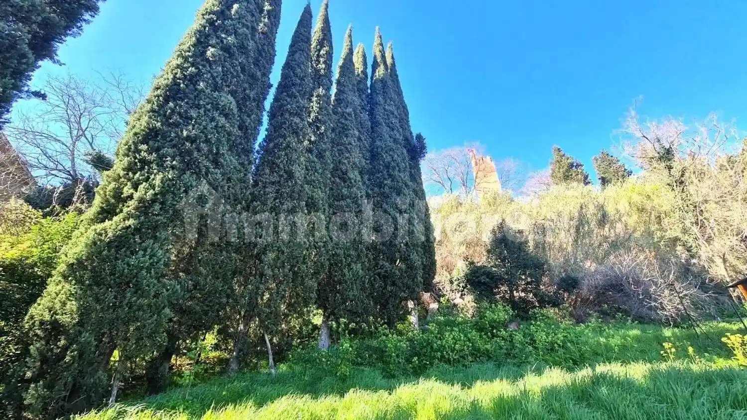 Villa in vendita a San Miniato