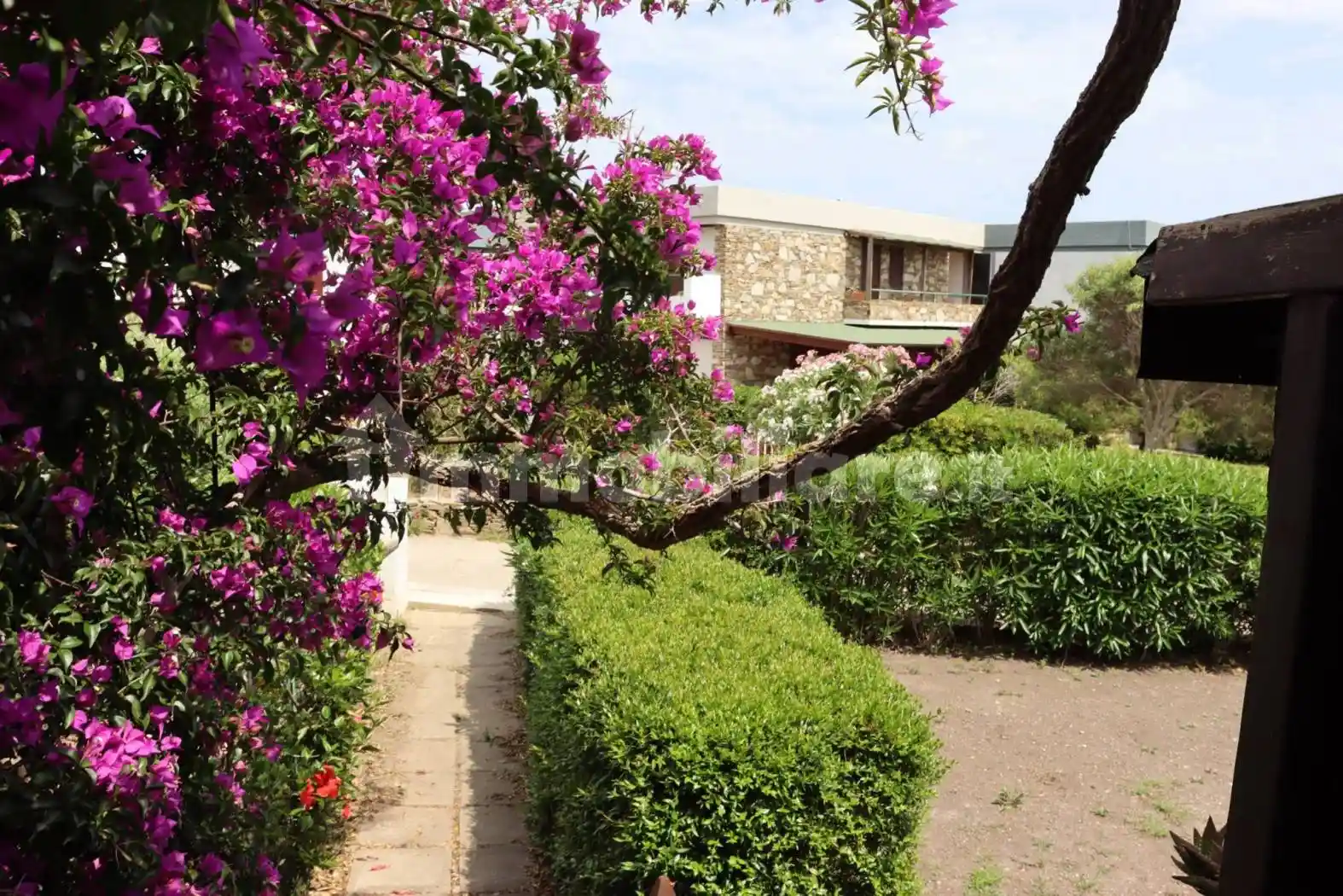 Attico - Mansarda in vendita a Stintino