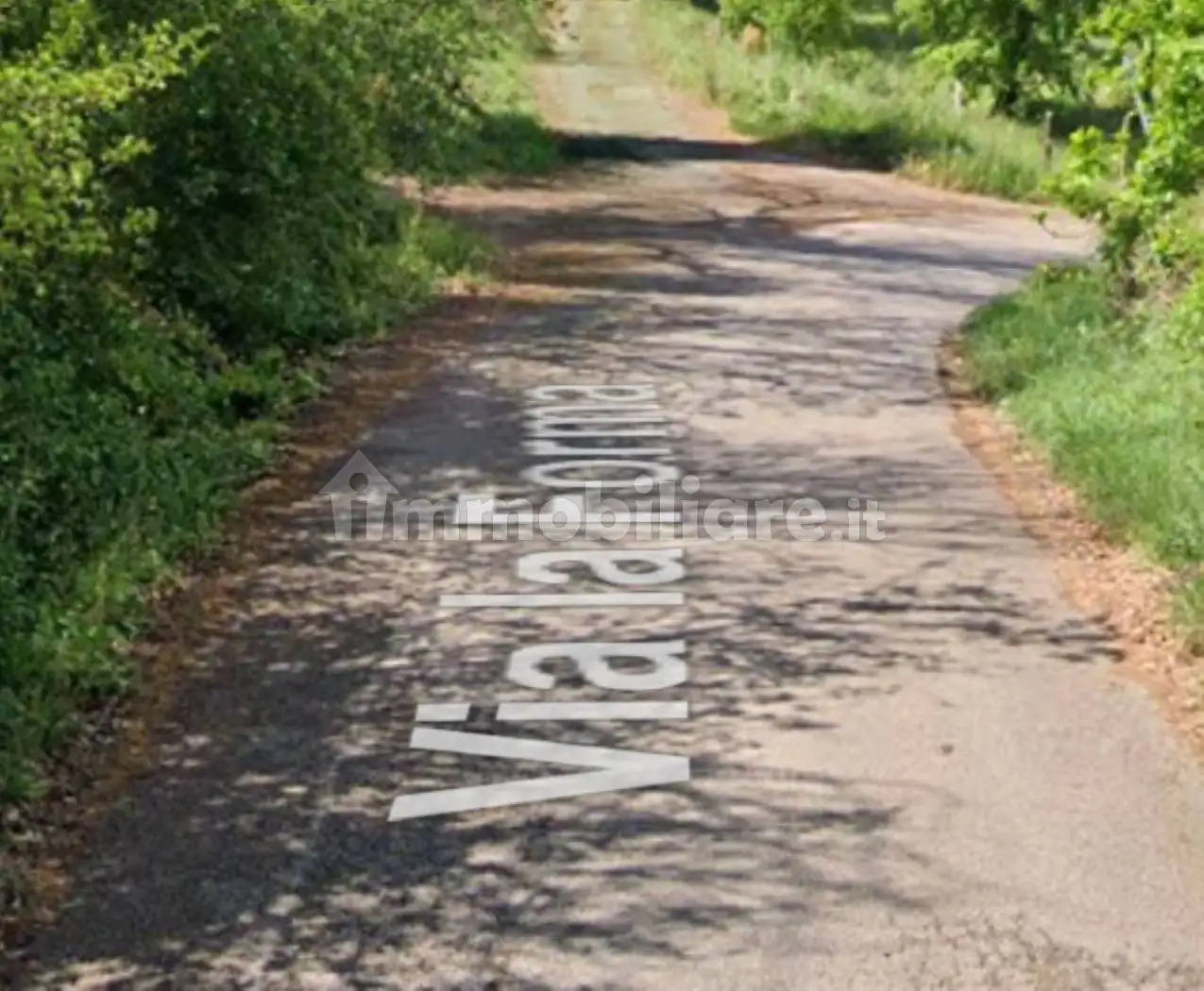 Palazzo - Stabile - foto 2