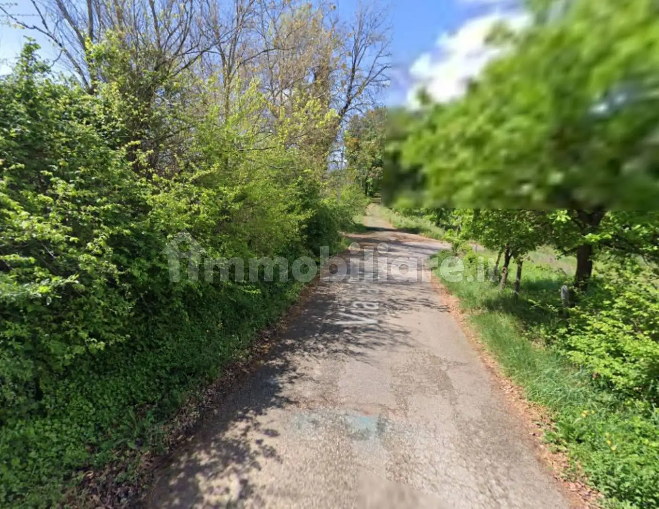 Palazzo - Stabile - foto 4