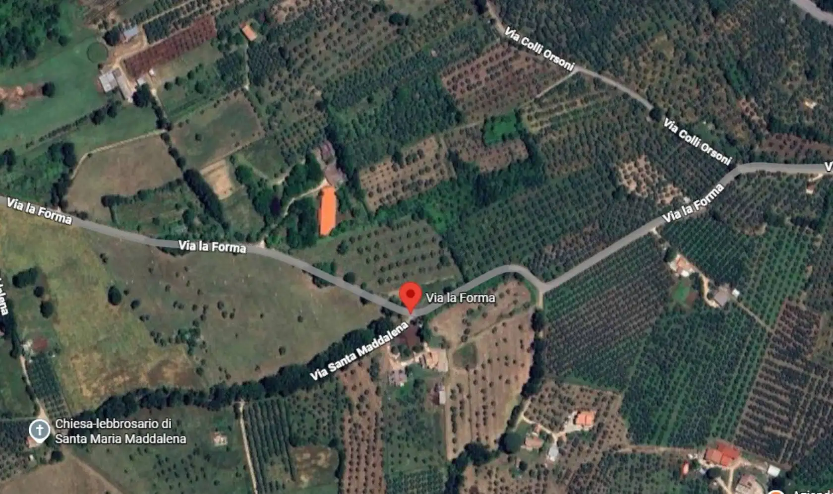 Palazzo - Stabile - foto 5