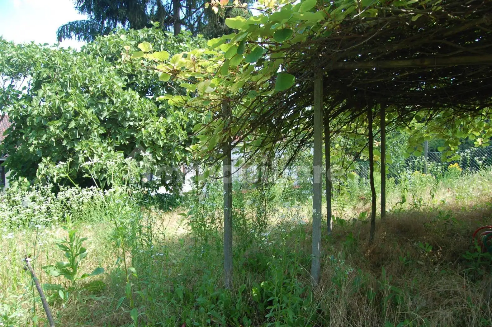 Villa unifamiliare regione Valle Boidi, Alice Bel Colle - foto 3