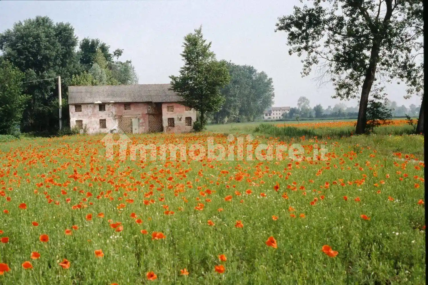 Rustico - Casale in vendita a Loreggia