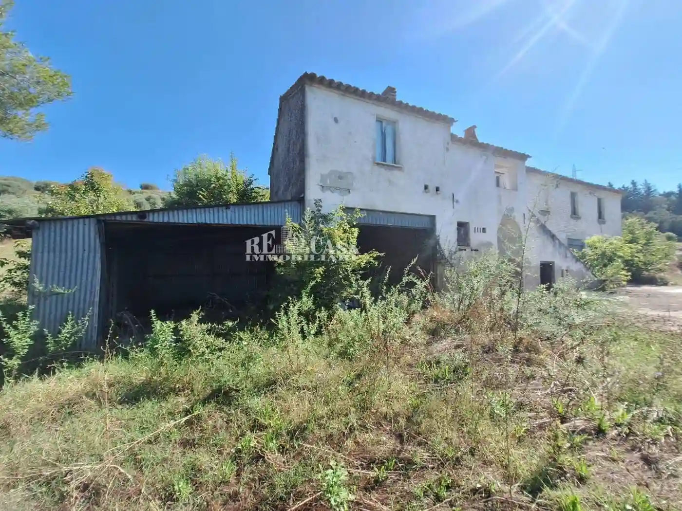 Rustico - Casale - foto 3