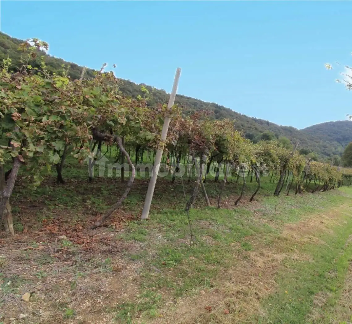 Rustico - Casale in vendita a Brendola