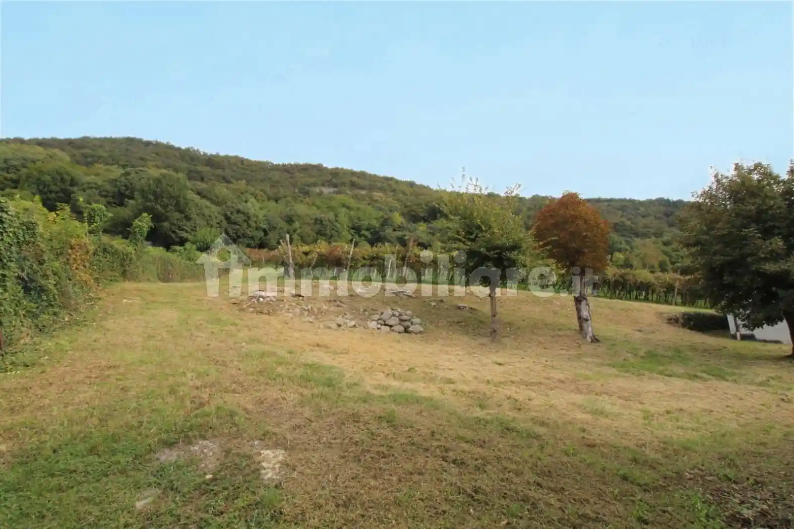 Casale via Monte Grappa, Centro, Brendola - foto 3