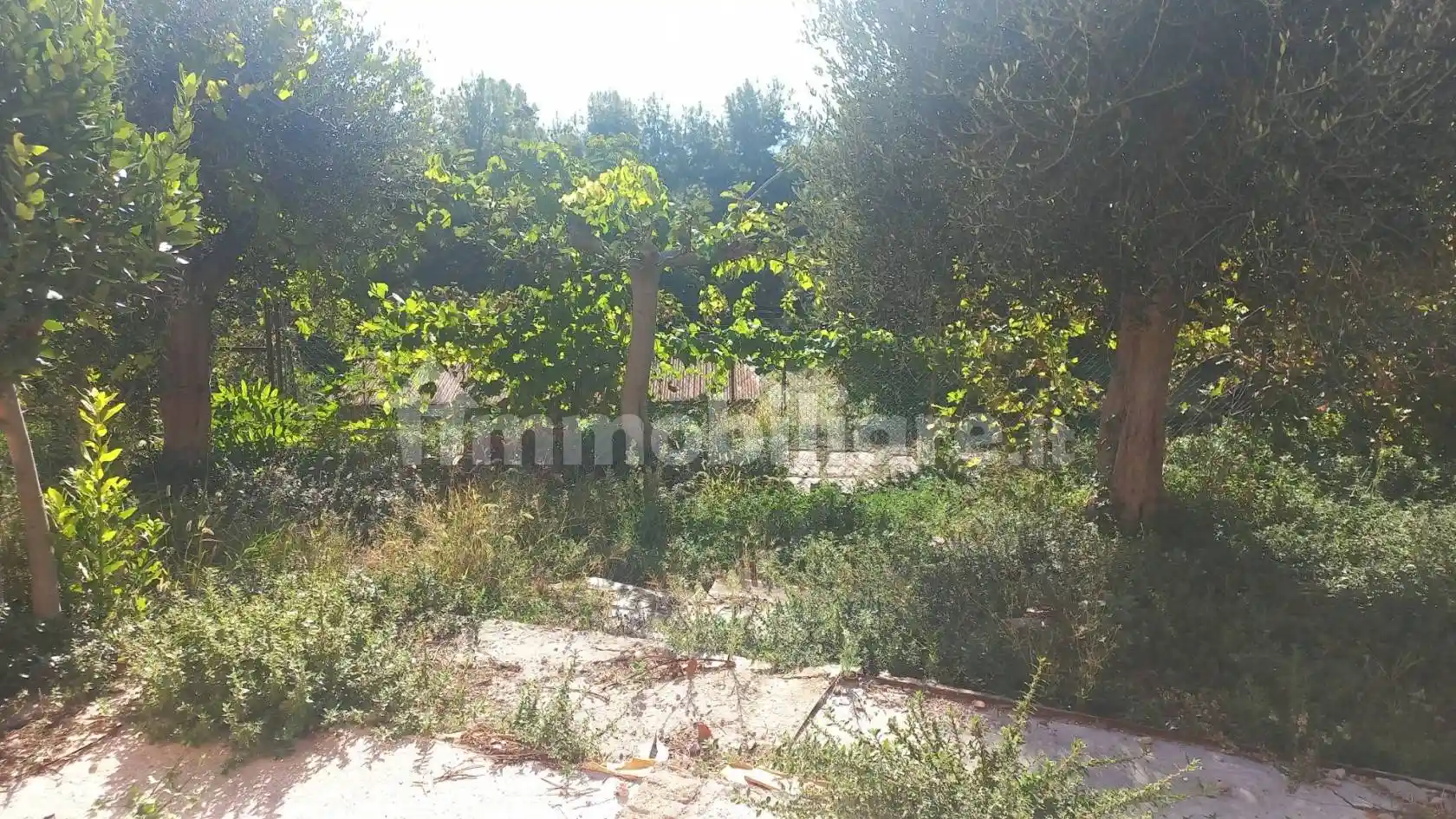 Villa unifamiliare via Poggio, Poggio - Massignano, Ancona - foto 4