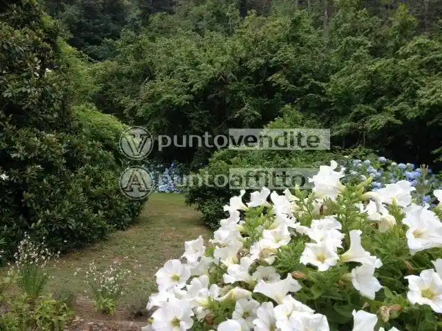 Trilocale via di Cerasomma,  205, Cerasomma, Lucca - foto 3