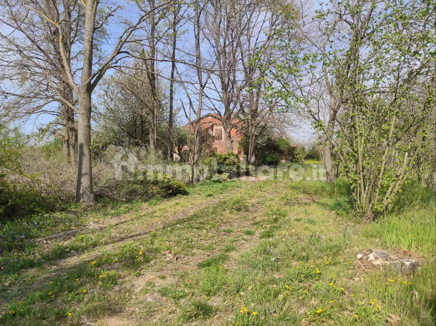 Rustico frazione San Luigi 24, Bene Vagienna - foto 5