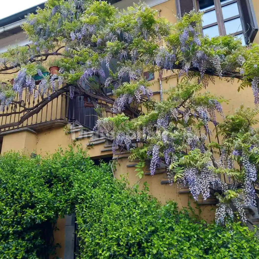 Bilocale corso San Gottardo 14, Ascanio Sforza, Milano - foto 3