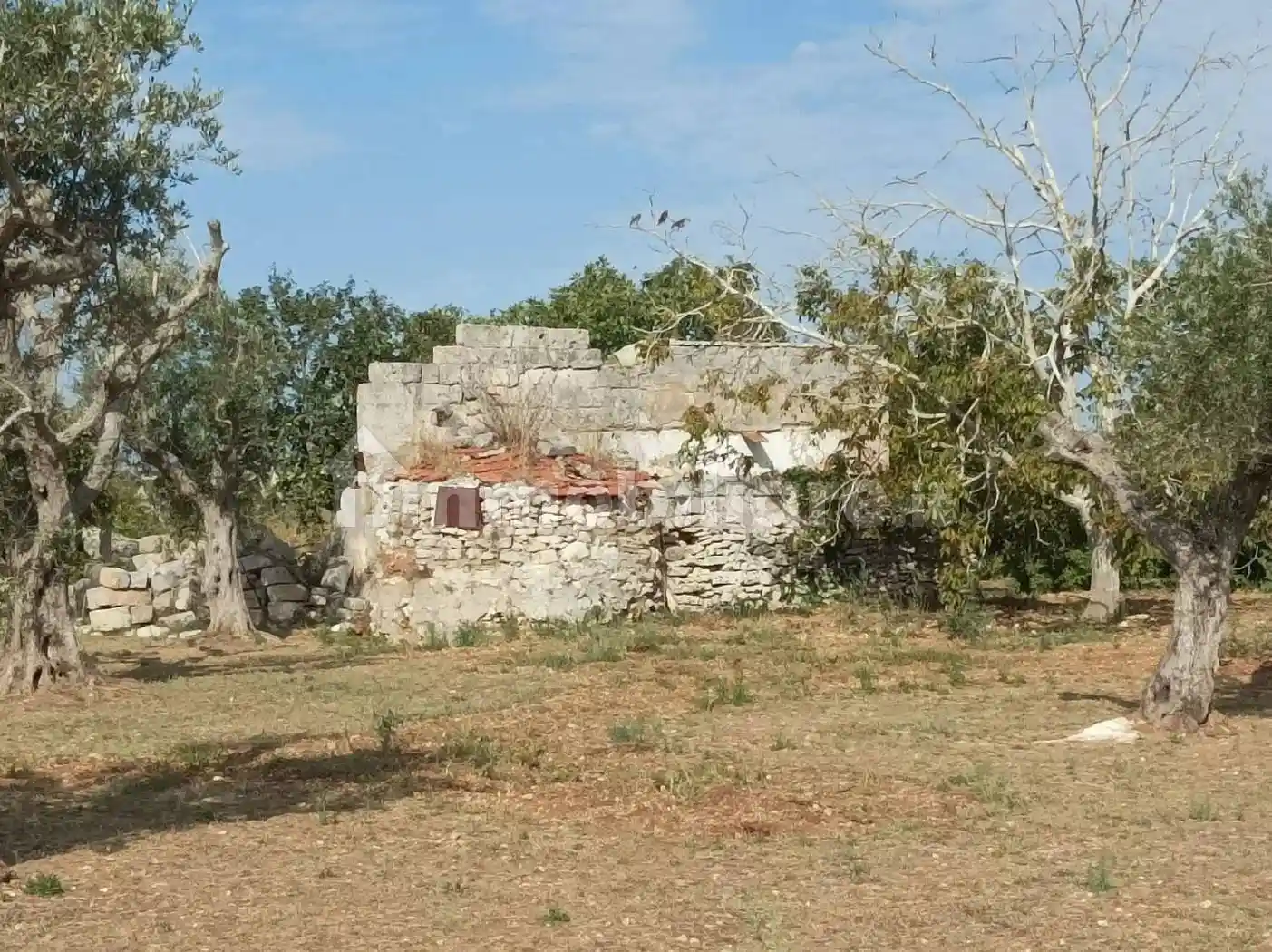 Rustico - Casale in vendita a Corigliano d'Otranto
