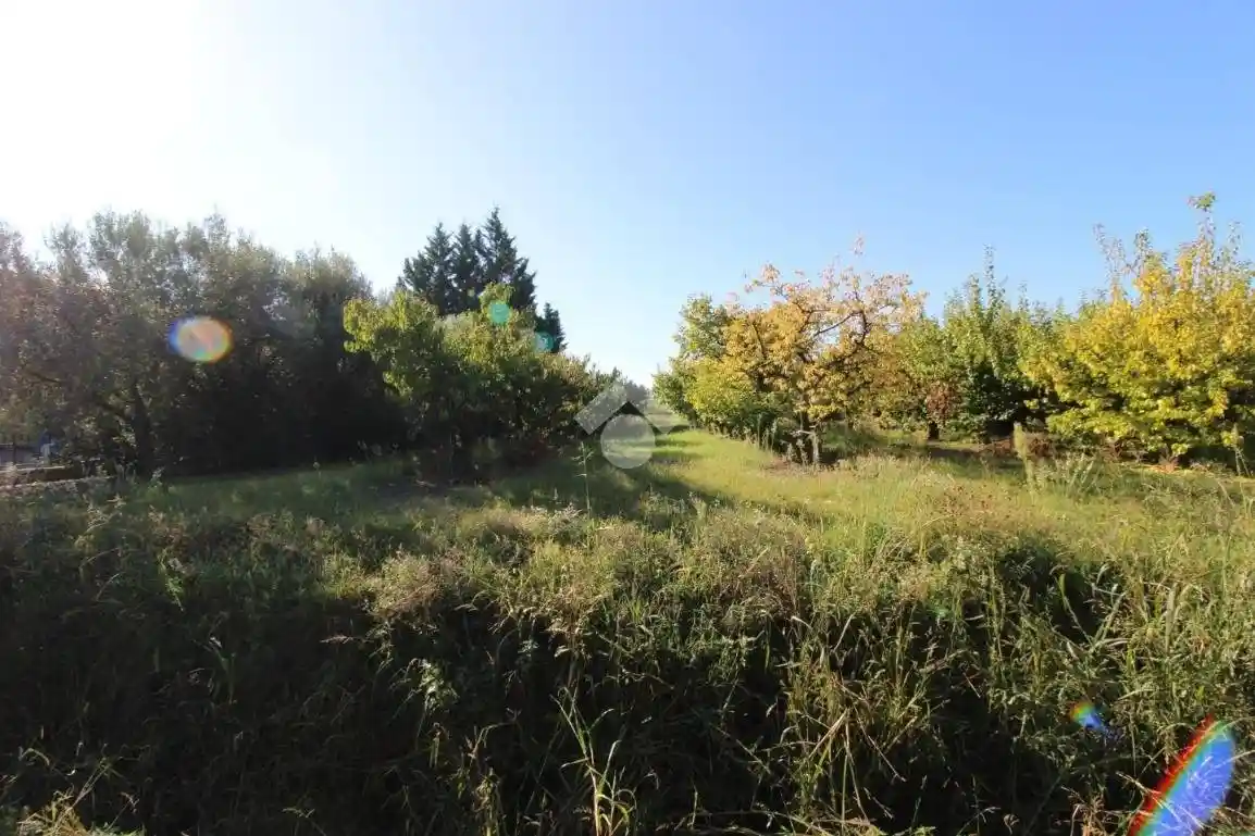 Rustico via Mariana 1700, Martorano - Ronta, Cesena - foto 5