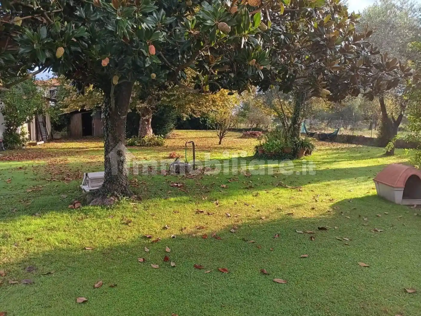 Villa in vendita a Massa