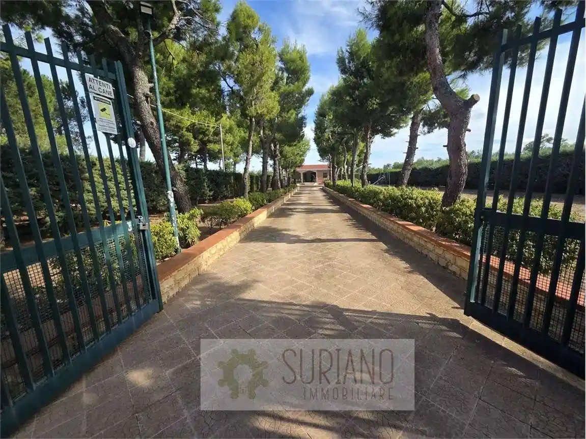 Villa unifamiliare, ottimo stato, 90 m², Montegrosso - Boschetto, Andria - foto 2