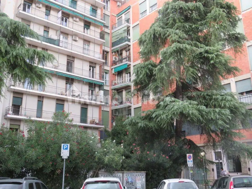 Appartamento in affitto a Bologna