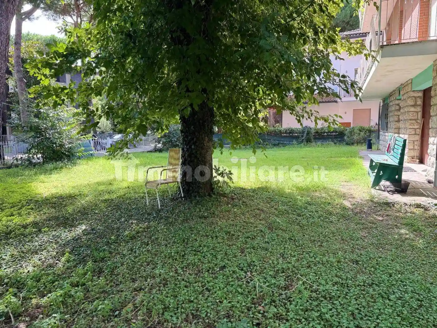 Palazzo - Edificio - foto 4