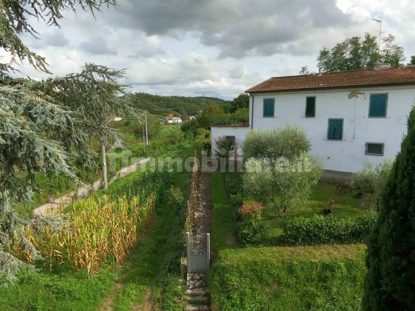 Rustico - Casale in vendita a Fauglia