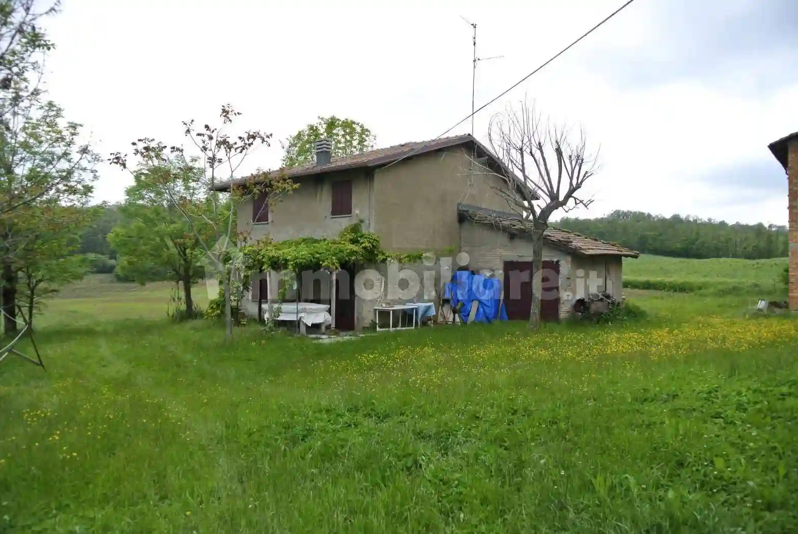 Rustico - Casale - foto 3