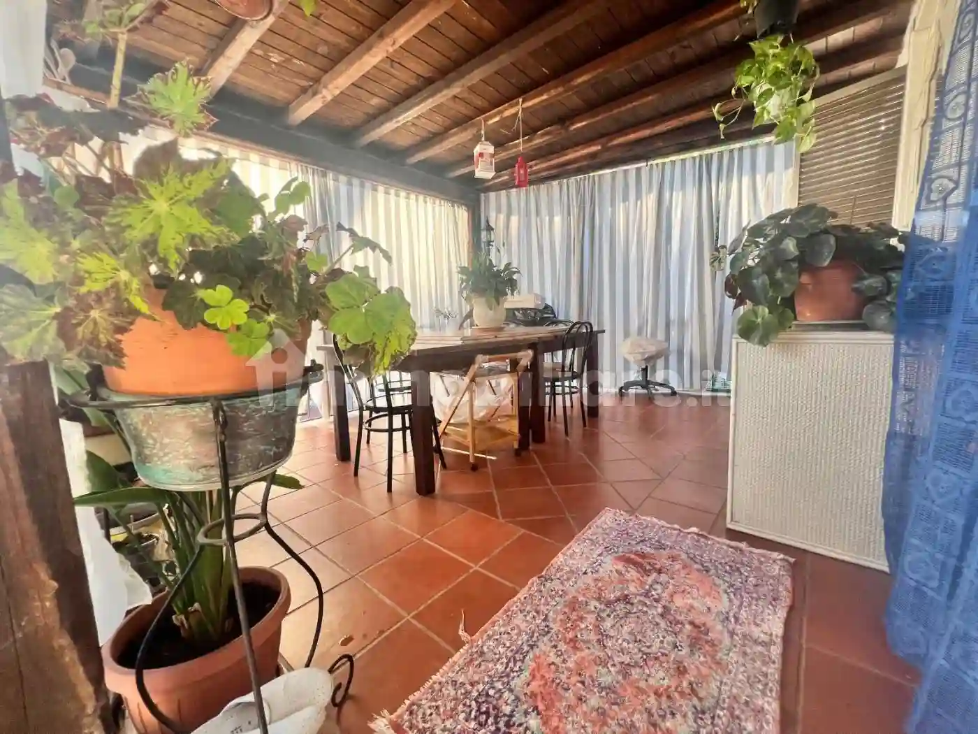 Palazzo - Edificio - foto 4