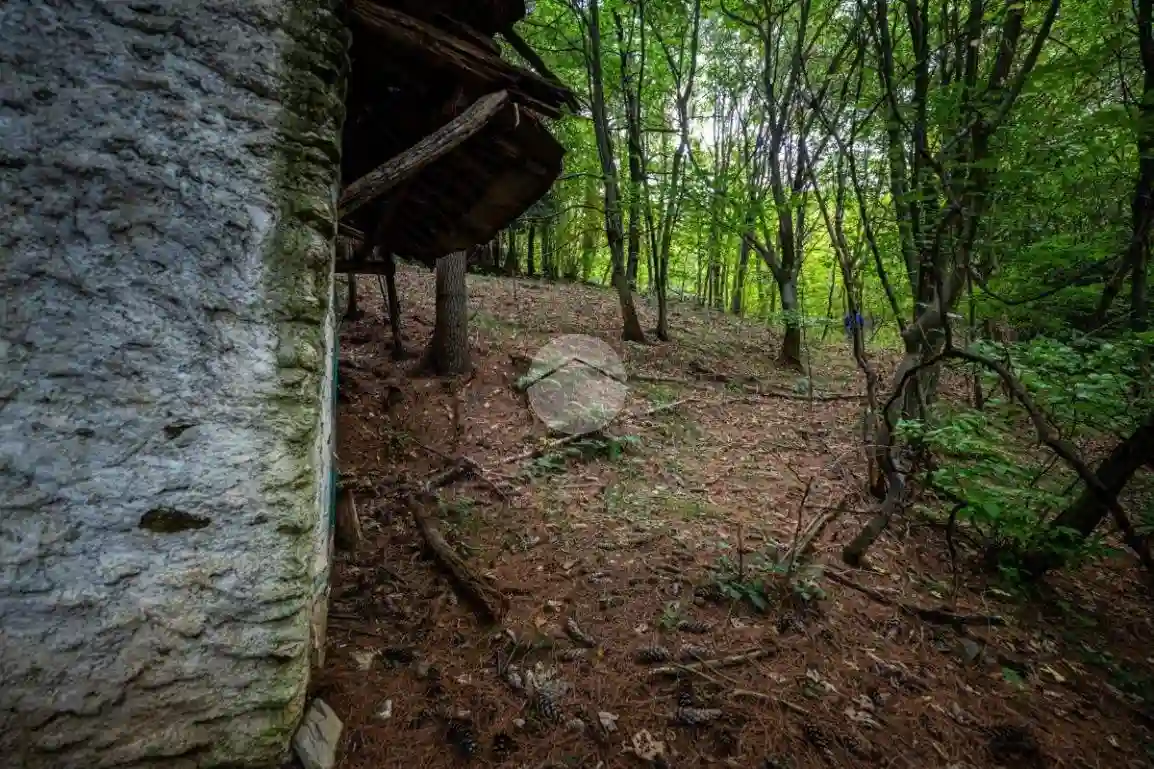 Rustico - Casale - foto 3