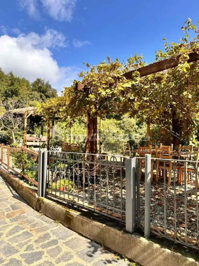 Villa unifamiliare, ottimo stato, 1031 m², Brozolo - foto 4