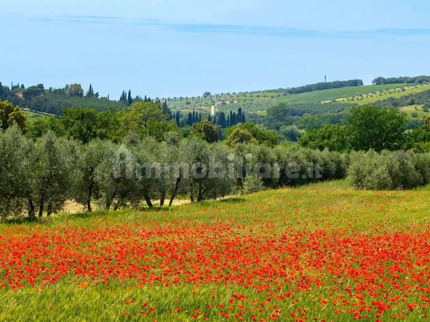 Appartamento in vendita a Massa Marittima