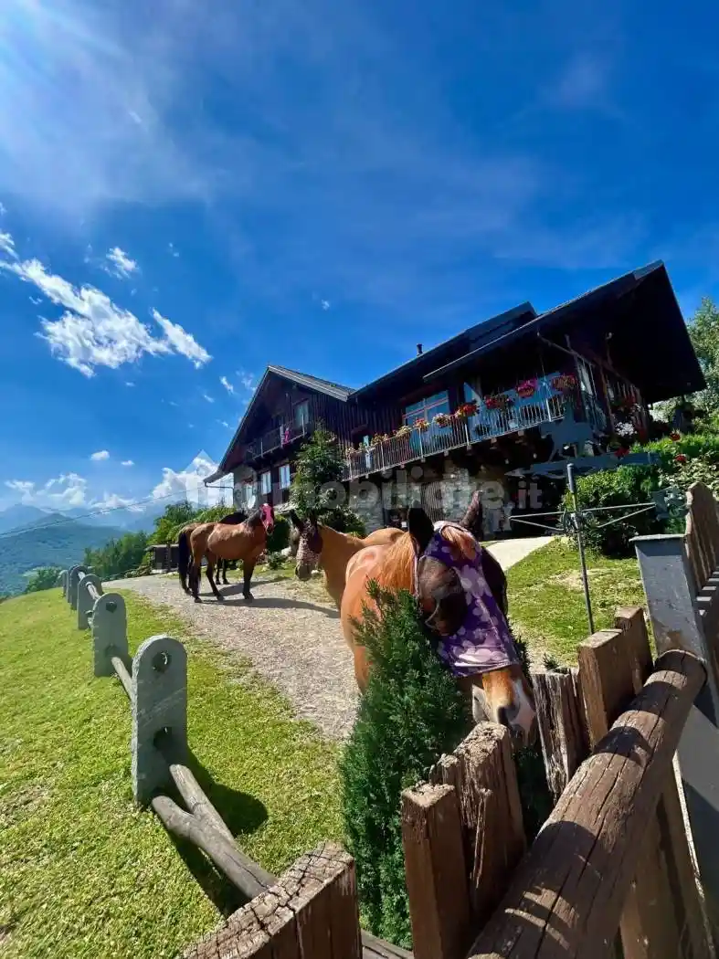 Casale via Provinciale 1, Brosso - foto 3