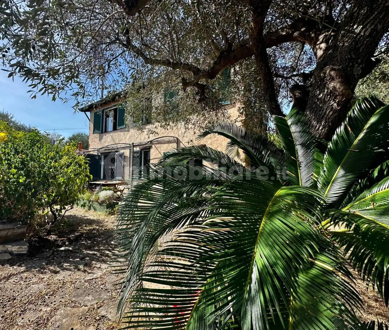 Rustico - Casale in vendita a Diano Castello
